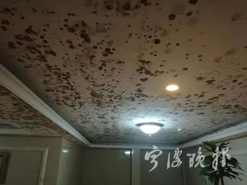 回南天氣梅雨季墻面受潮發(fā)霉用除濕機(jī)好嗎？