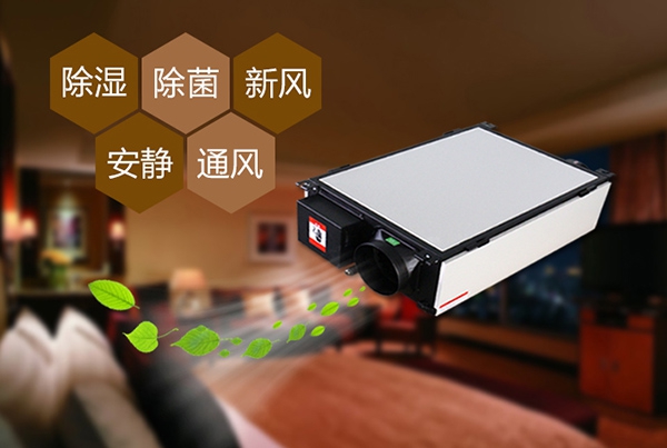 為什么冷庫除濕機會出現結霜的情況？