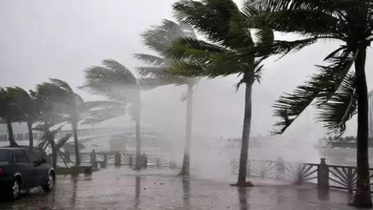 8月臺風(fēng)雨即將來，除濕機還得用起來