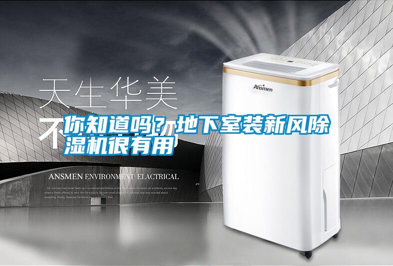 你知道嗎？地下室裝新風(fēng)除濕機很有用