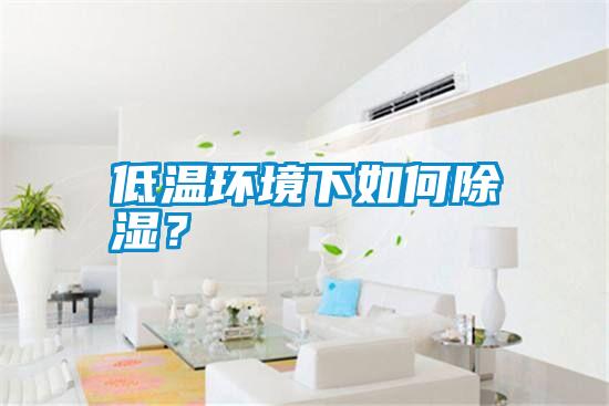低溫環(huán)境下如何除濕？