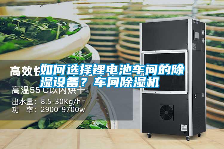 如何選擇鋰電池車間的除濕設(shè)備？車間除濕機(jī)