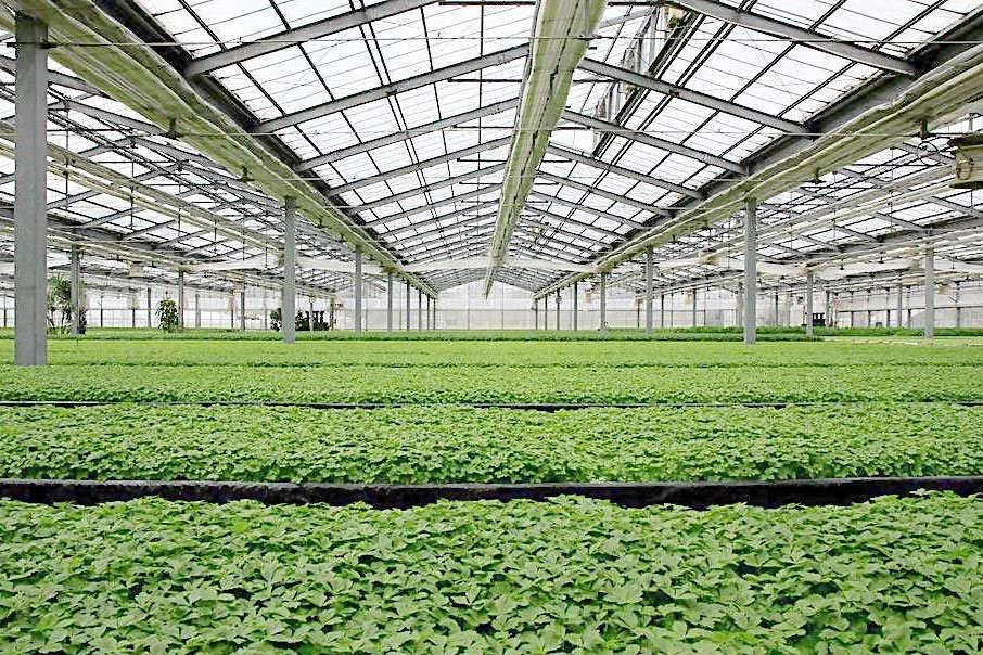除濕器如何解決高濕度、多種危害的溫室除濕問(wèn)題？