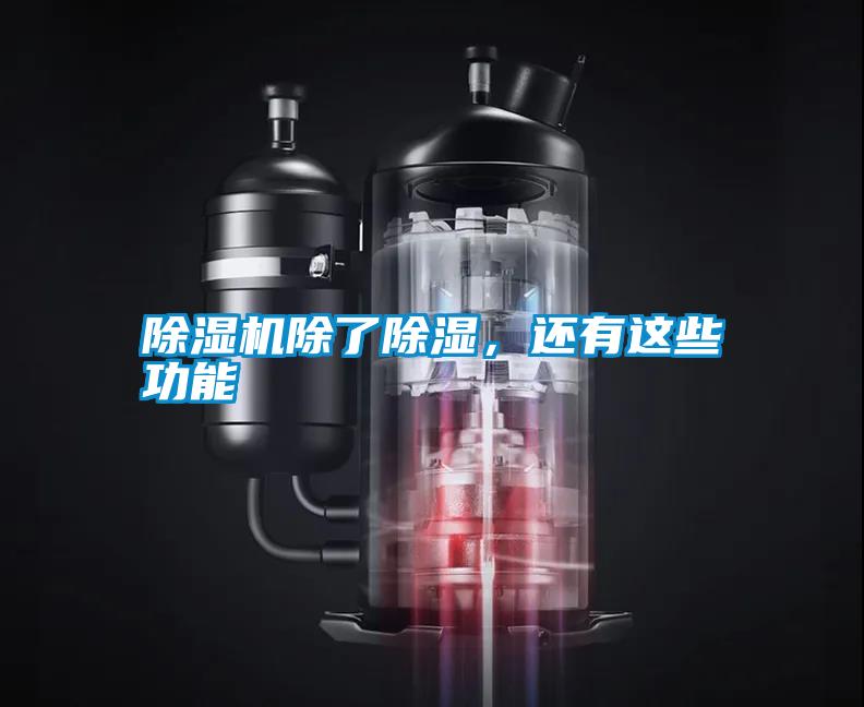 除濕機(jī)除了除濕，還有這些功能