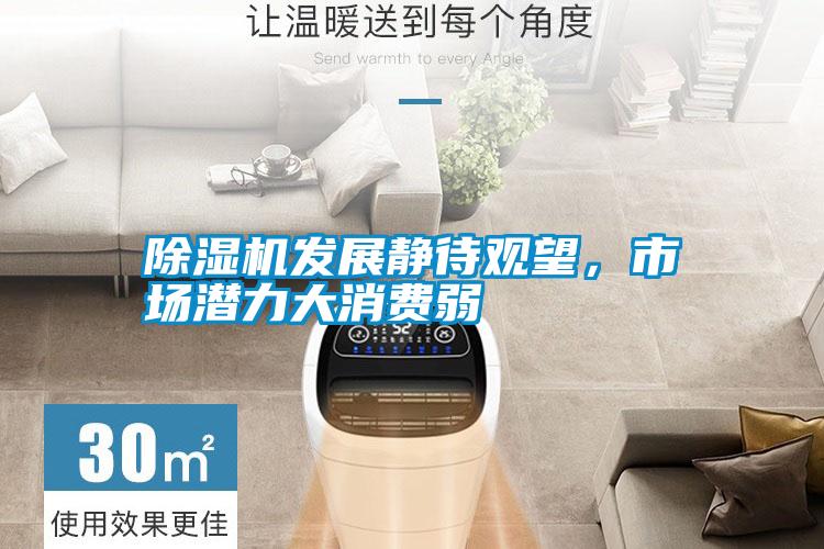 除濕機(jī)發(fā)展靜待觀望，市場(chǎng)潛力大消費(fèi)弱