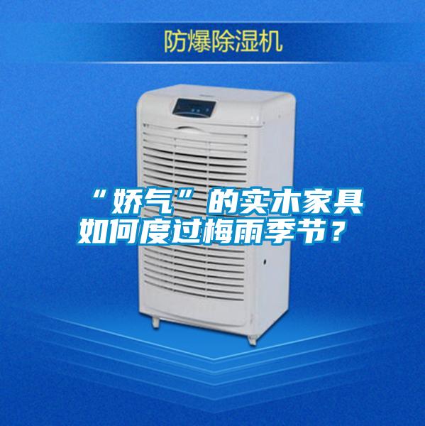 “嬌氣”的實(shí)木家具如何度過梅雨季節(jié)？