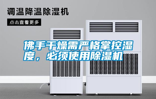 佛手干燥需嚴格掌控濕度，必須使用除濕機