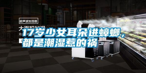 17歲少女耳朵進(jìn)蟑螂，都是潮濕惹的禍