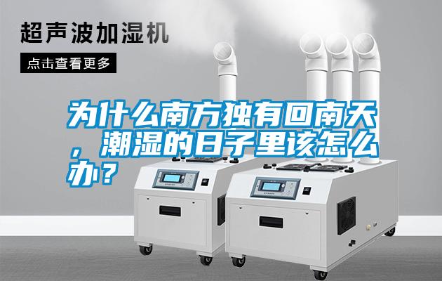 為什么南方獨(dú)有回南天，潮濕的日子里該怎么辦？
