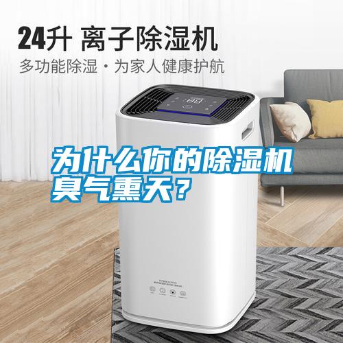 為什么你的除濕機(jī)臭氣熏天？