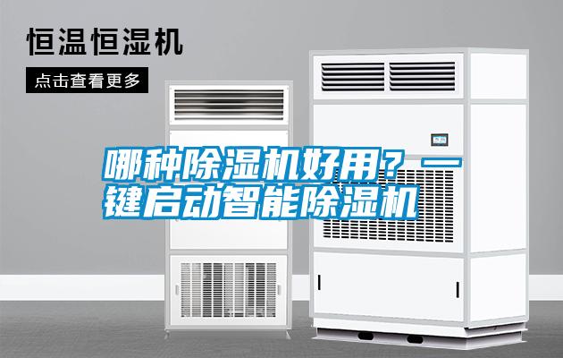 哪種除濕機好用？一鍵啟動智能除濕機