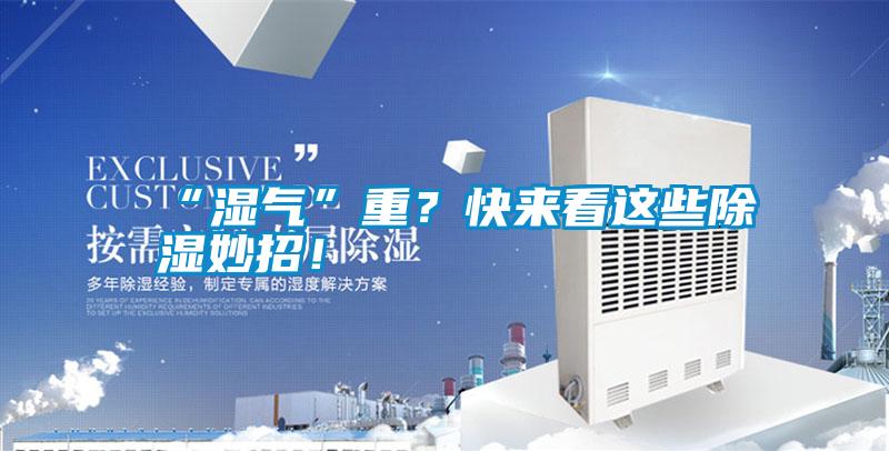 “濕氣”重？快來看這些除濕妙招！