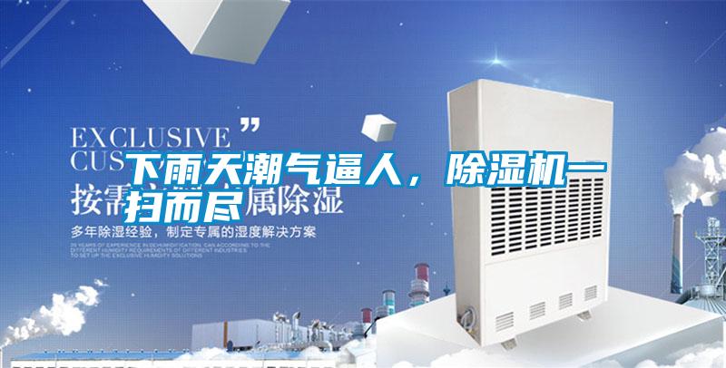 下雨天潮氣逼人，除濕機(jī)一掃而盡