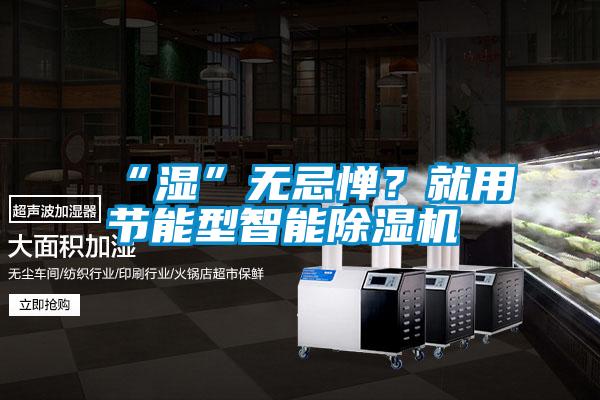 “濕”無忌憚？就用節(jié)能型智能除濕機
