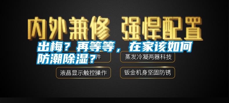 出梅？再等等，在家該如何防潮除濕？