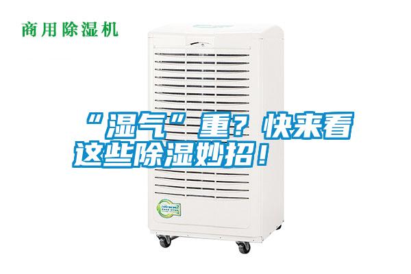 “濕氣”重？快來看這些除濕妙招！