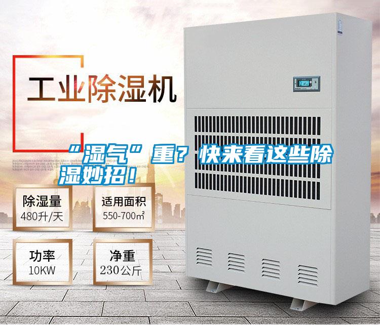 “濕氣”重？快來看這些除濕妙招！