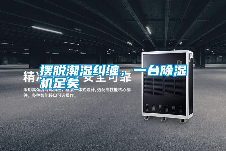 擺脫潮濕糾纏，一臺(tái)除濕機(jī)足矣
