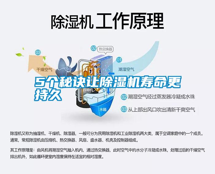 5個秘訣讓除濕機(jī)壽命更持久