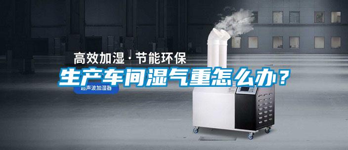 生產(chǎn)車間濕氣重怎么辦？
