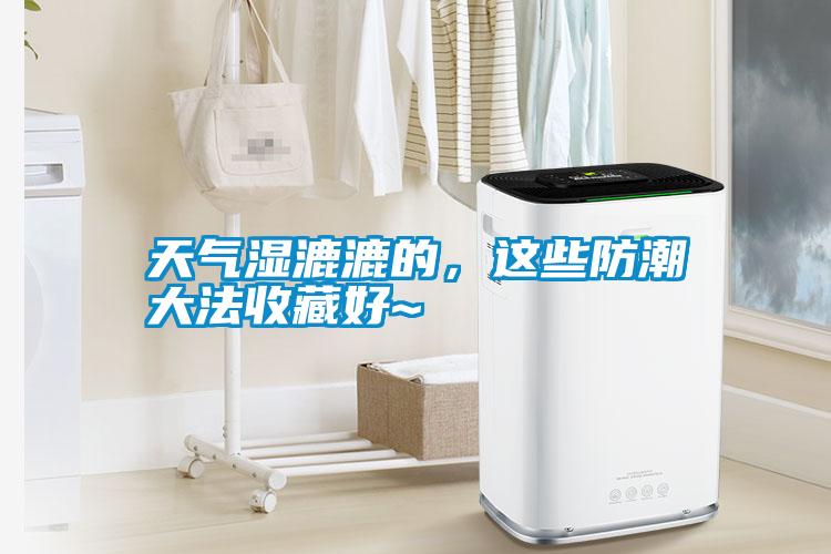 天氣濕漉漉的，這些防潮大法收藏好~