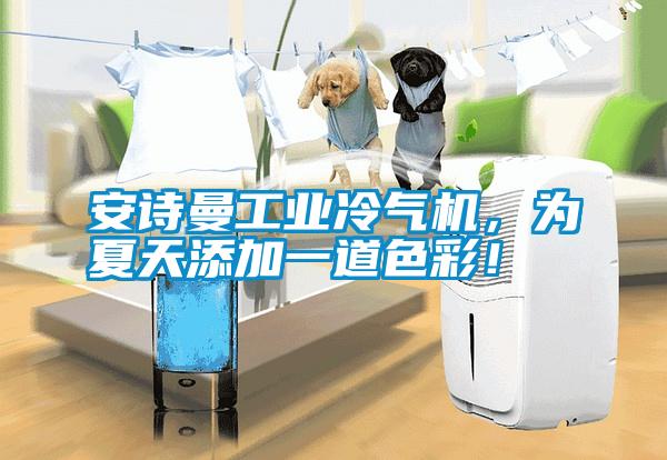 安詩曼工業(yè)冷氣機，為夏天添加一道色彩！