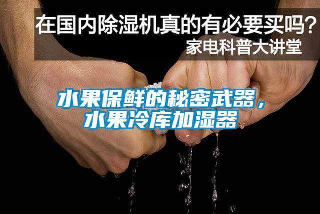 水果保鮮的秘密武器，水果冷庫加濕器