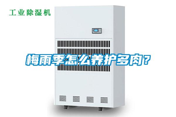 梅雨季怎么養(yǎng)護多肉？