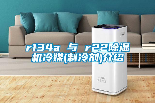 r134a 與 r22除濕機冷媒(制冷劑)介紹