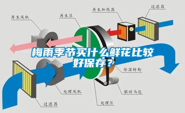 梅雨季節(jié)買什么鮮花比較好保存？