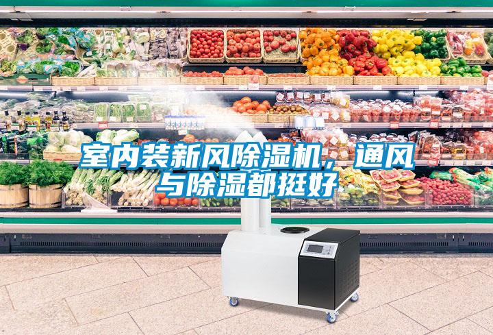室內(nèi)裝新風除濕機，通風與除濕都挺好