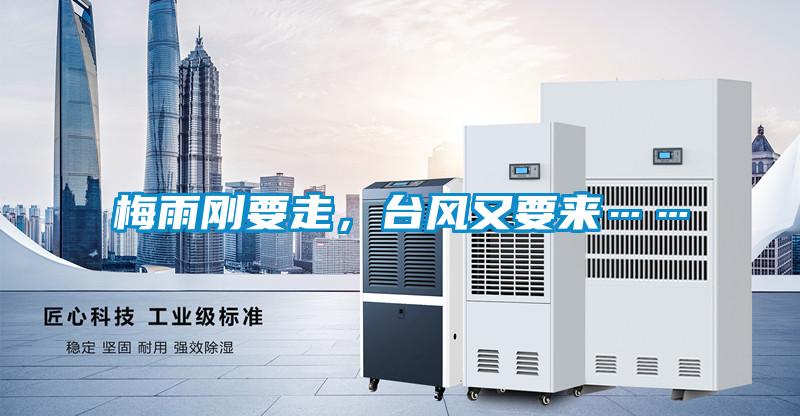 梅雨剛要走，臺風(fēng)又要來……