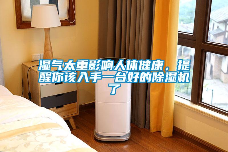 濕氣太重影響人體健康，提醒你該入手一臺(tái)好的除濕機(jī)了
