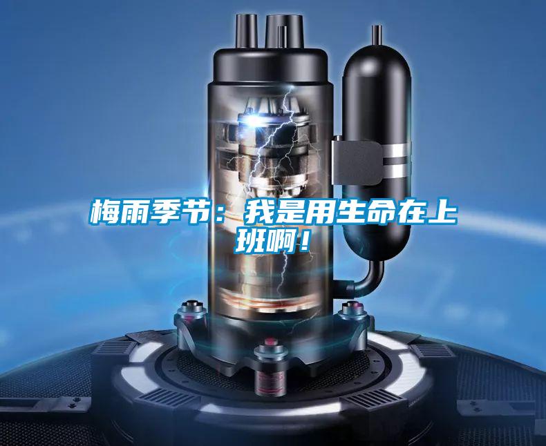 梅雨季節(jié)：我是用生命在上班啊！