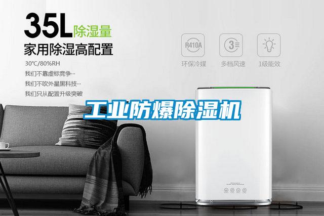 工業(yè)防爆除濕機(jī)