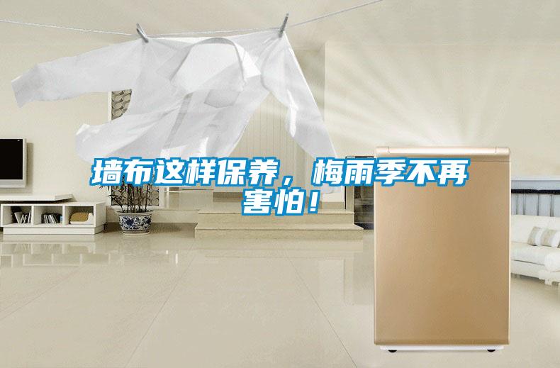 墻布這樣保養(yǎng)，梅雨季不再害怕！