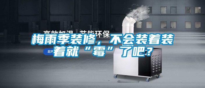 梅雨季裝修，不會裝著裝著就“霉”了吧？