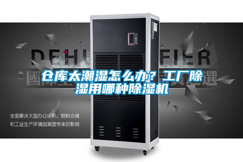倉庫太潮濕怎么辦？工廠除濕用哪種除濕機