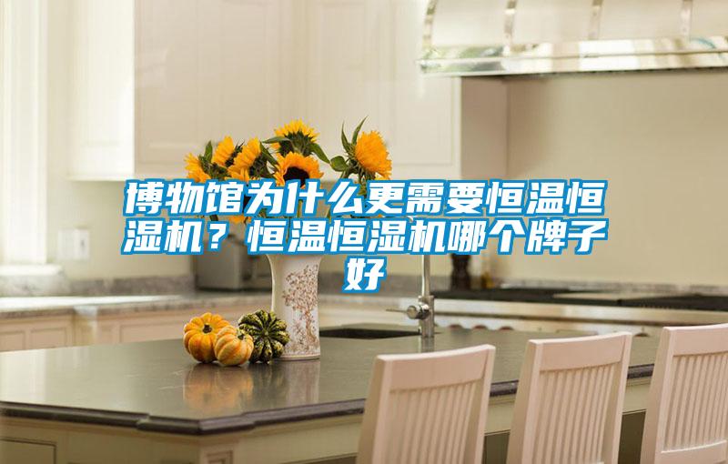 博物館為什么更需要恒溫恒濕機(jī)？恒溫恒濕機(jī)哪個牌子好