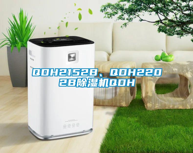 QDH2152B、QDH2202B除濕機(jī)QDH