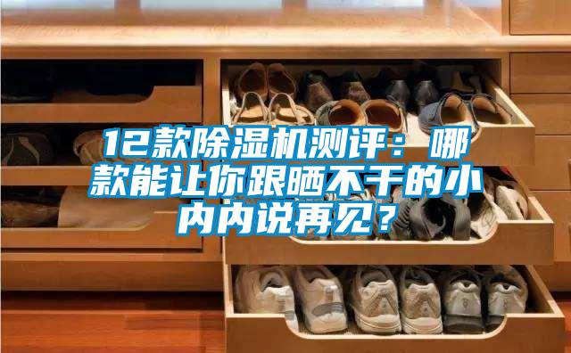 12款除濕機測評：哪款能讓你跟曬不干的小內(nèi)內(nèi)說再見？
