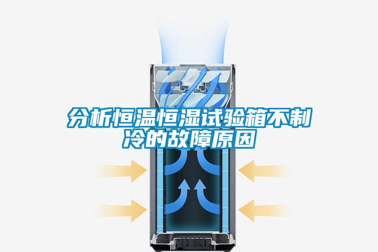 分析恒溫恒濕試驗(yàn)箱不制冷的故障原因