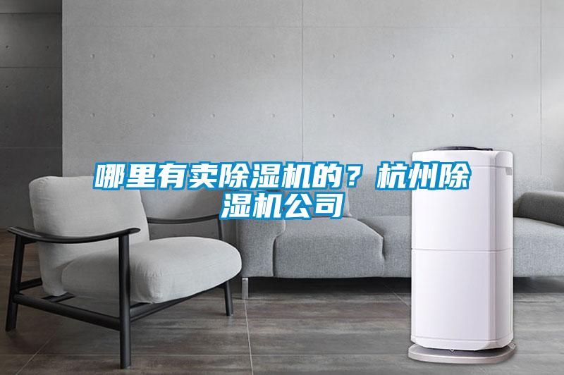 哪里有賣除濕機(jī)的？杭州除濕機(jī)公司