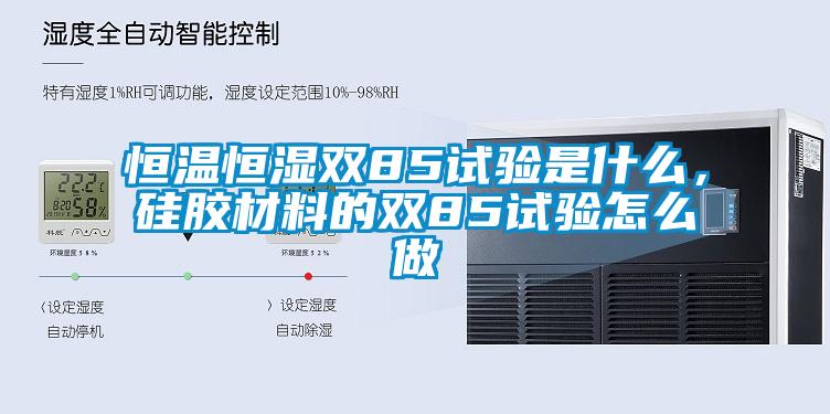 恒溫恒濕雙85試驗是什么，硅膠材料的雙85試驗怎么做