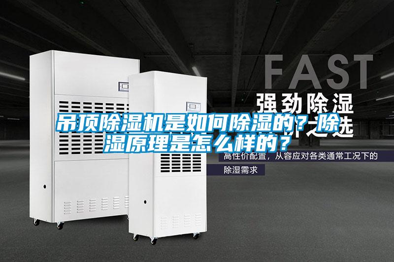 吊頂除濕機(jī)是如何除濕的？除濕原理是怎么樣的？