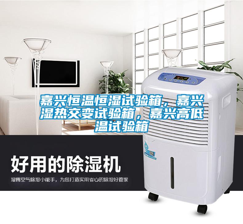 嘉興恒溫恒濕試驗(yàn)箱，嘉興濕熱交變?cè)囼?yàn)箱，嘉興高低溫試驗(yàn)箱