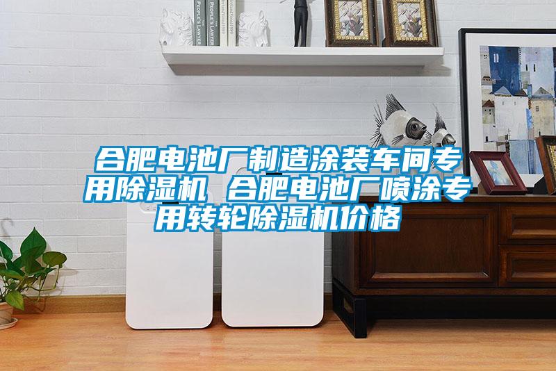 合肥電池廠制造涂裝車(chē)間專用除濕機(jī) 合肥電池廠噴涂專用轉(zhuǎn)輪除濕機(jī)價(jià)格