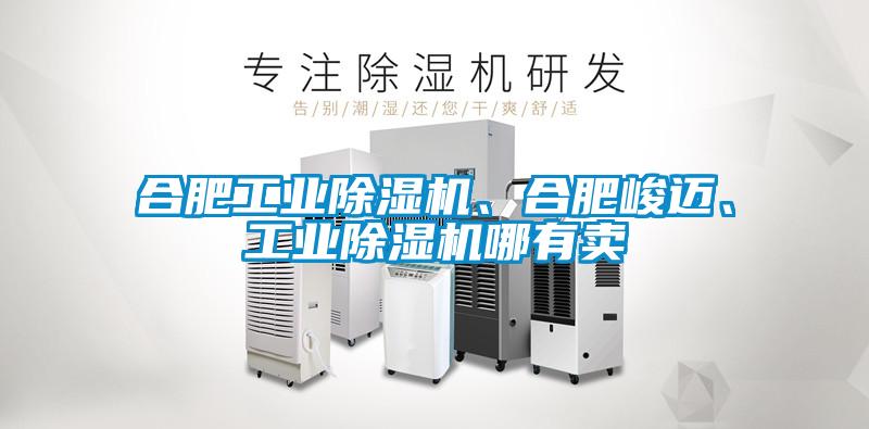 合肥工業(yè)除濕機(jī)、合肥峻邁、工業(yè)除濕機(jī)哪有賣