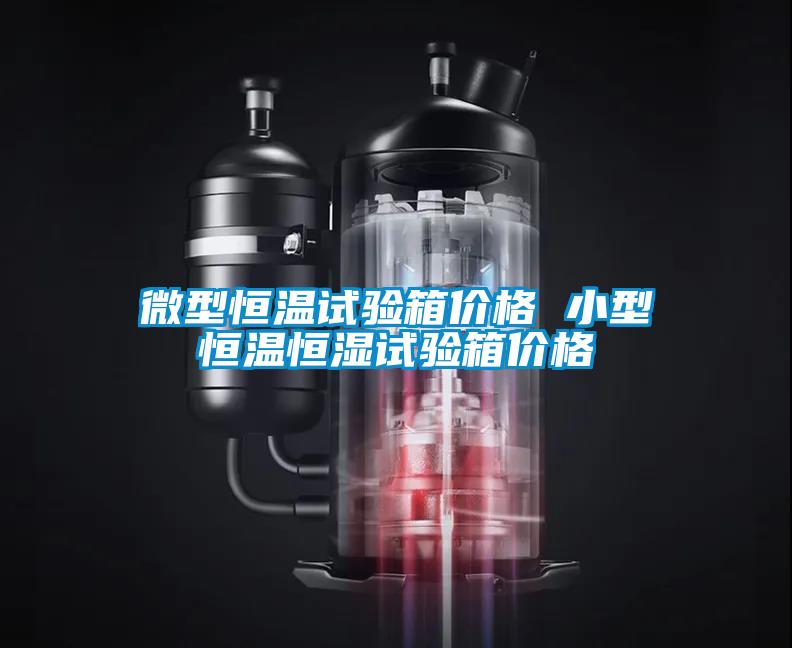 微型恒溫試驗(yàn)箱價格 小型恒溫恒濕試驗(yàn)箱價格