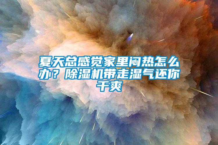 夏天總感覺家里悶熱怎么辦？除濕機帶走濕氣還你干爽